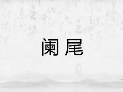 阑尾