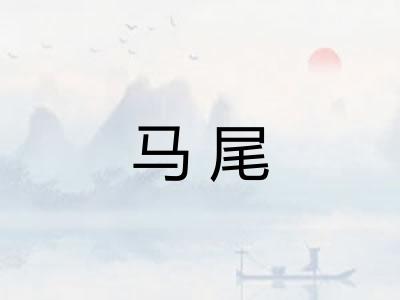 马尾 马尾