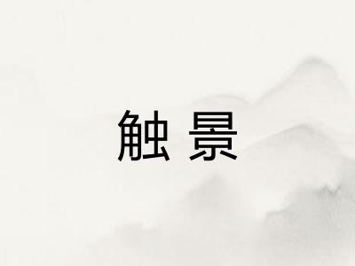 触景