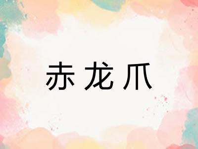 赤龙爪 赤龙爪