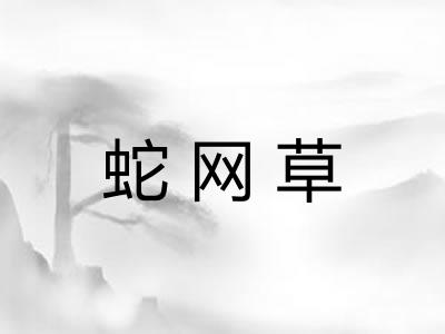 蛇网草 蛇网草