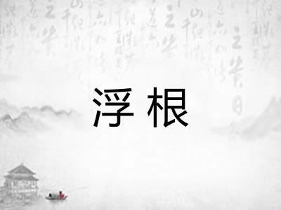 浮根 浮根