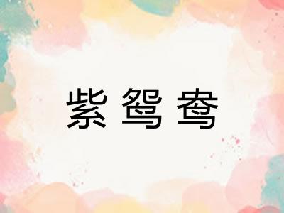 紫鸳鸯