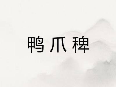 鸭爪稗