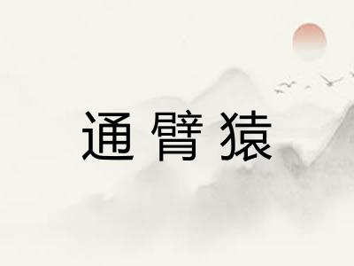 通臂猿