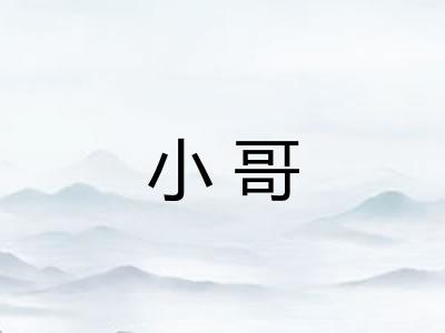 小哥 小哥