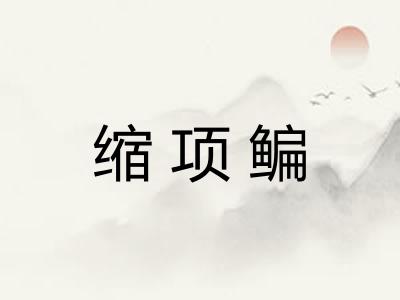 缩项鳊 缩项鳊