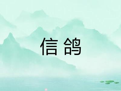 信鸽
