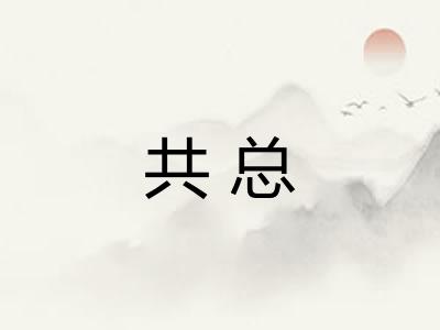 共总 共总