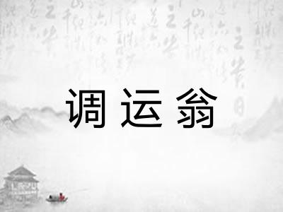 调运翁
