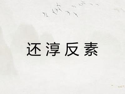 还淳反素