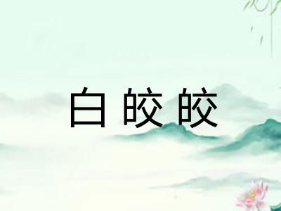 白皎皎