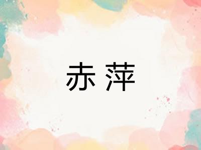 赤萍
