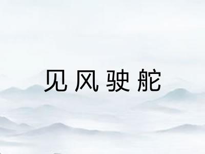 见风驶舵