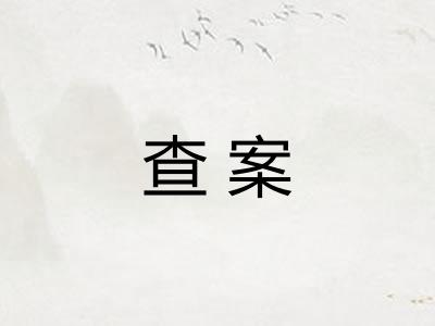 查案