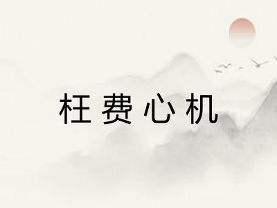 枉费心机