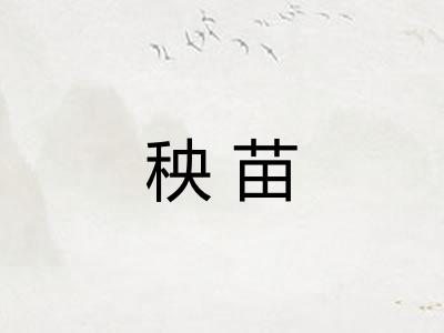 秧苗 秧苗