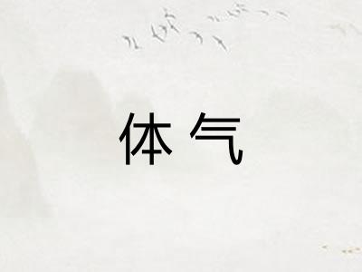体气