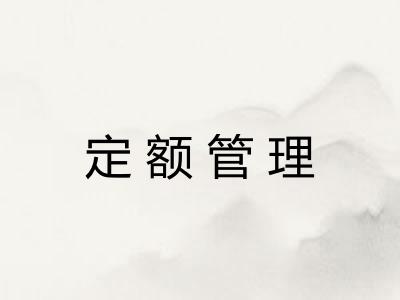 定额管理