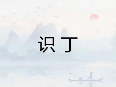 识丁