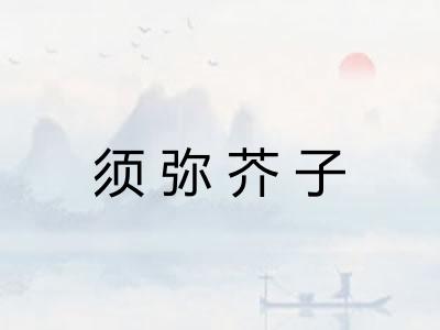 须弥芥子