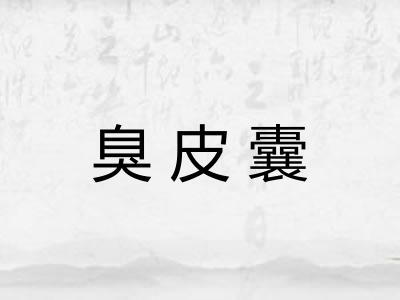 臭皮囊