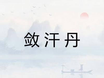 敛汗丹