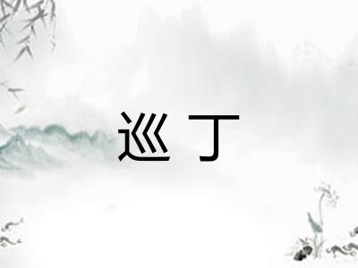 巡丁