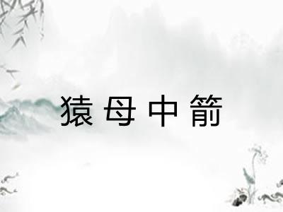 猿母中箭