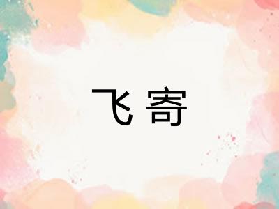 飞寄