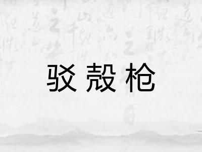 驳殻枪