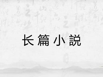 长篇小説