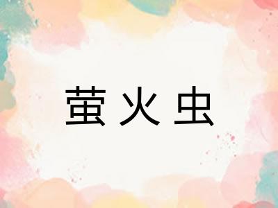 萤火虫 萤火虫