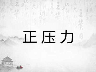 正压力 正压力