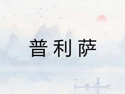 普利萨