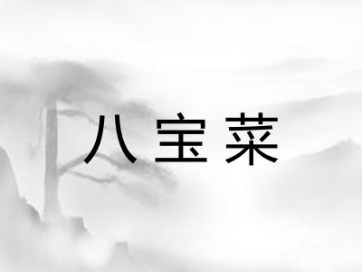 八宝菜 八宝菜