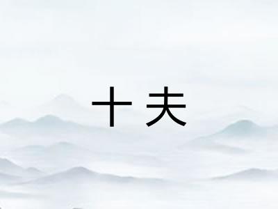 十夫