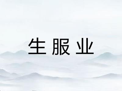 生服业 生服业