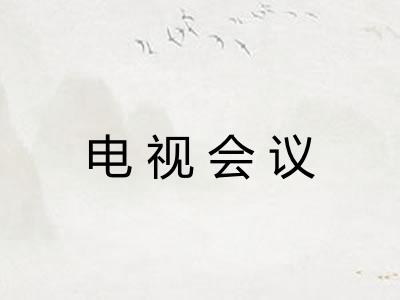 电视会议