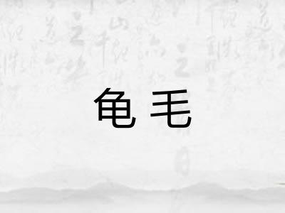 龟毛