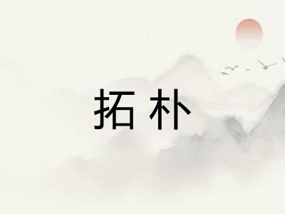 拓朴