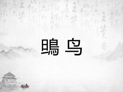 鴠鸟