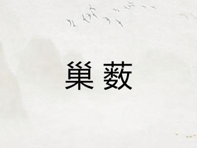 巢薮