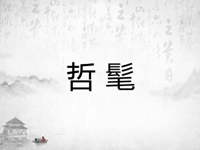 哲髦