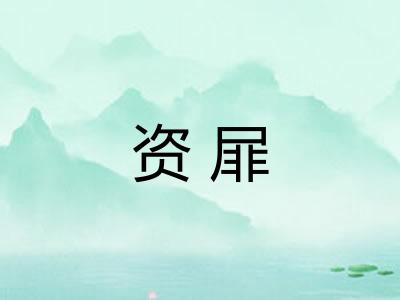 资屝