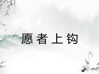 愿者上钩