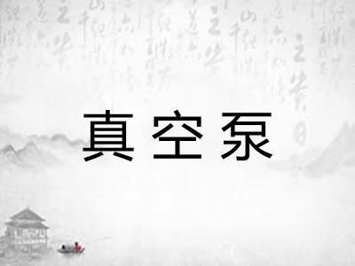 真空泵