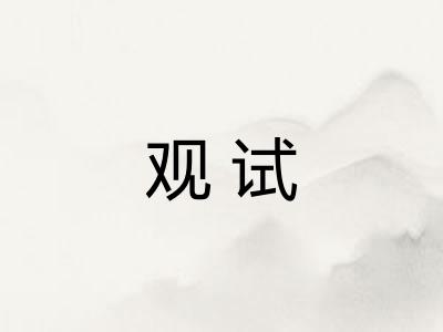 观试