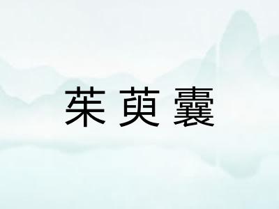 茱萸囊