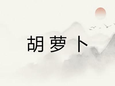 胡萝卜 胡萝卜